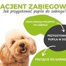 Zabiegi chirurgiczne ....