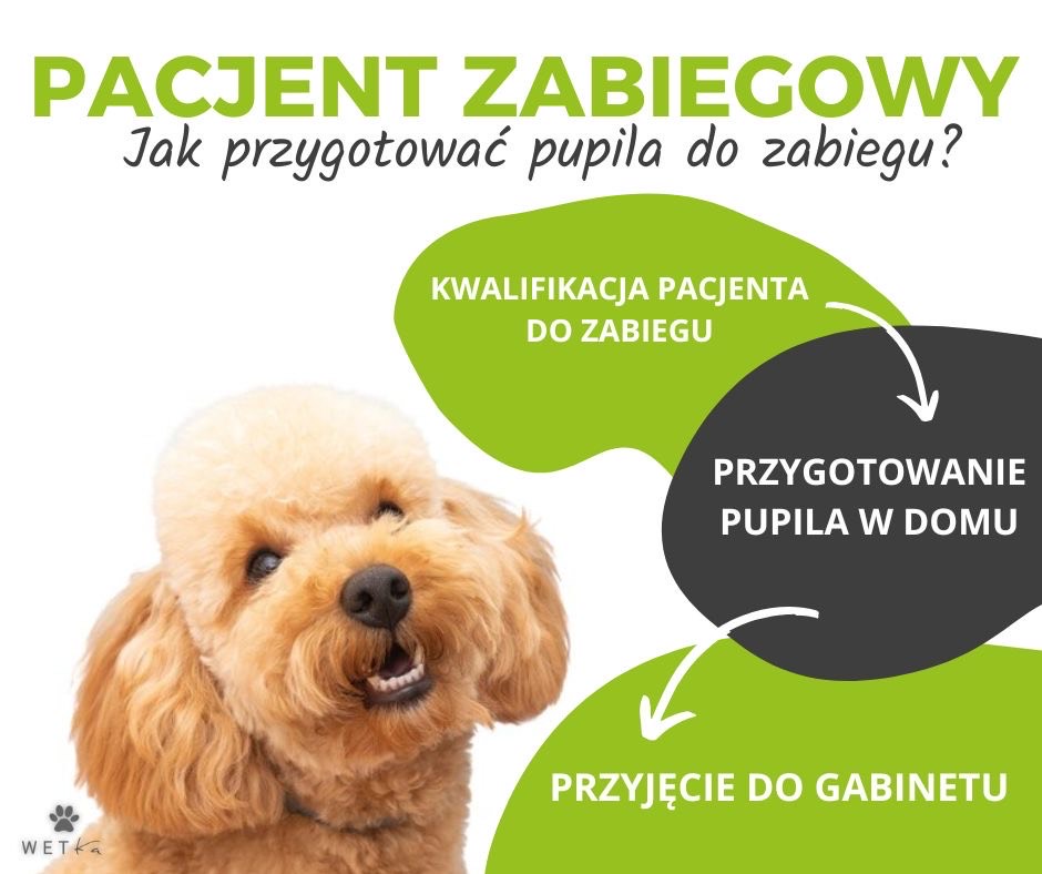 Zabiegi chirurgiczne ....